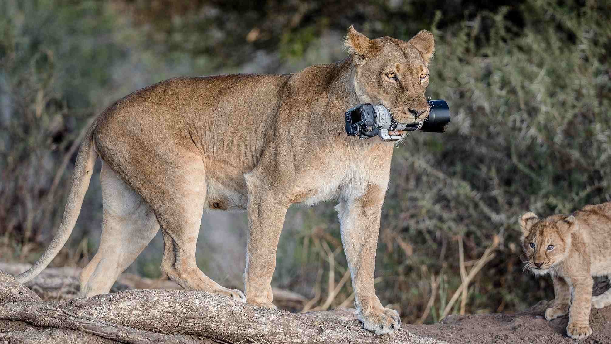 c28719d84dd84b9d8ee6fba5677b632b7655477180287076460.jpg