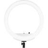 Westcott Bi-Color LED Ring Light Kit (18") - Image 15