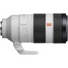 Sony FE 100-400mm f/4.5-5.6 GM OSS Lens - Image 10