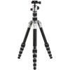 Benro Tripster Travel Tripod (0 Series, Titanium, Aluminum)
