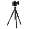 Benro CLT303 3-Series Induro Classic Carbon Fiber Tripod - Image 7