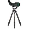 Benro TTOR35C Carbon Fiber Tripod with GH2F Folding Gimbal Head - Image 13