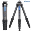 Leofoto LS-325CEX Ranger Series Carbon Fiber Tripod with 15° Leveling Base (Black)