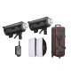 Godox Brand Photography Flash Light Kit DP1000IIIV - Image 4